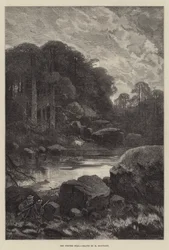 El ciervo espectral